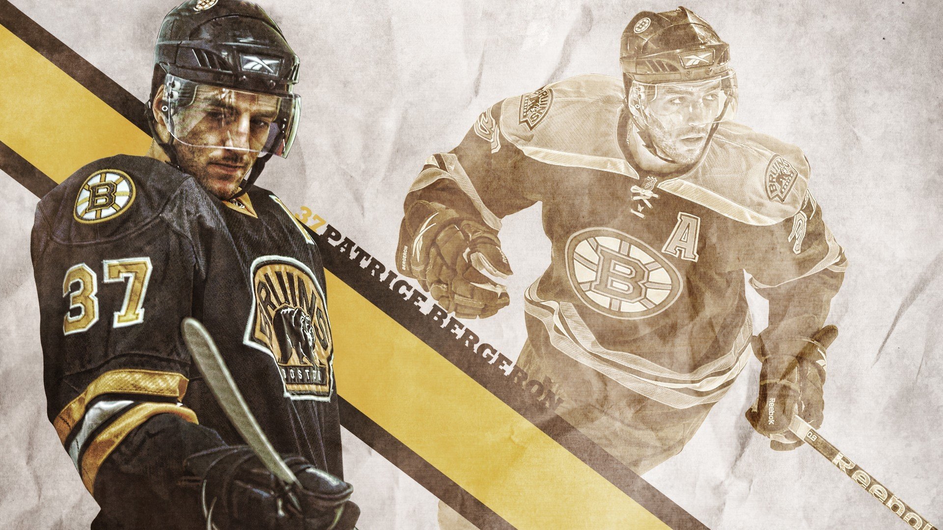 篮球球队年度表现趋势